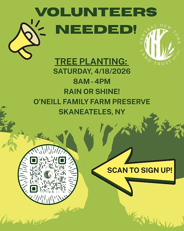 Tree Planting ONeil Farm